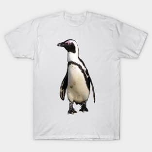 African Penguin Boulders Beach, Cape Town, South Africa T-Shirt